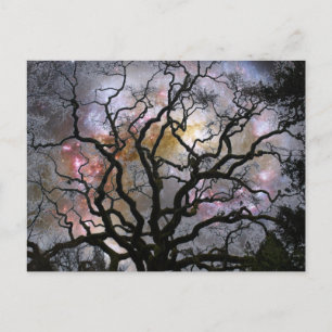 Postal Árbol cósmico - Galaxias colisionantes