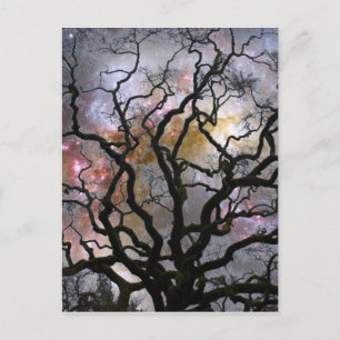 Postal Árbol cósmico - Galaxias colisionantes