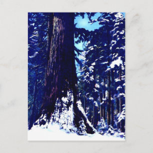 Postal Árbol cubierto de nieve