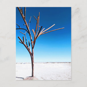 Postal Arbol de acero, coober Pedy Australia