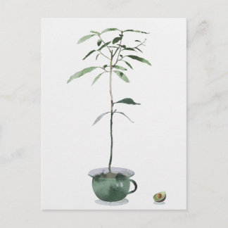 Postal Árbol de aguacates