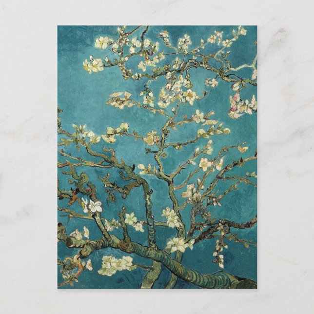 Postal Árbol de almendras floreciente - Van Gogh (Anverso)