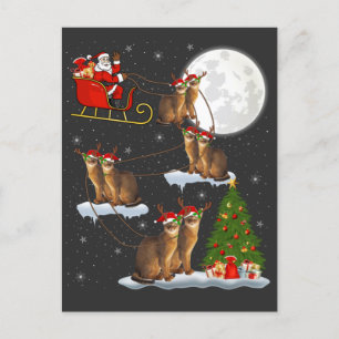 Postal Árbol de alumbrado navideño Santa Riding Gato Abys