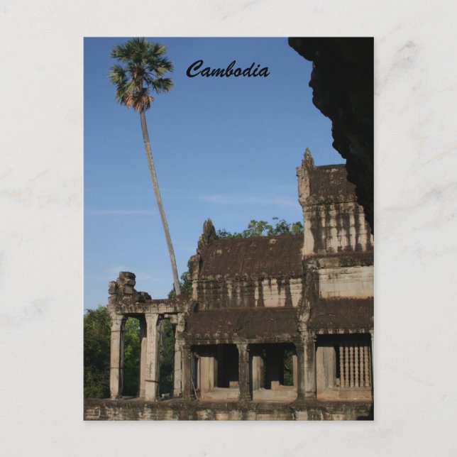 Postal árbol de angkor (Anverso)