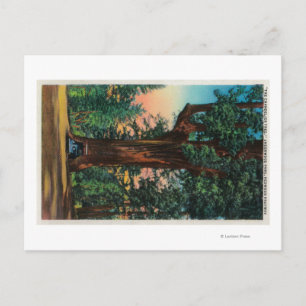 Postal Árbol de araña, parque de contrachapado