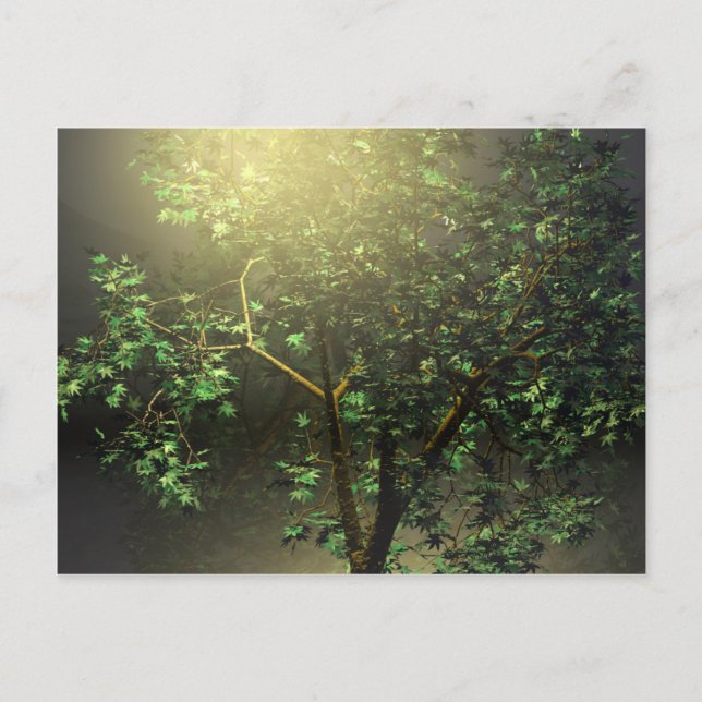 Postal Árbol de arce japonés 3D (Anverso)