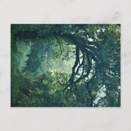 Postal Árbol de arcos