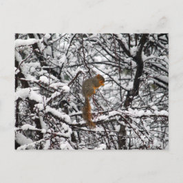 Postal Árbol de ardilla de nieve blanca bonito