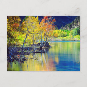 Postal Árbol de Aspen en otoño reflejándose en el lago Gr
