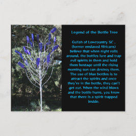 Postal Árbol de botella Carolina del Sur