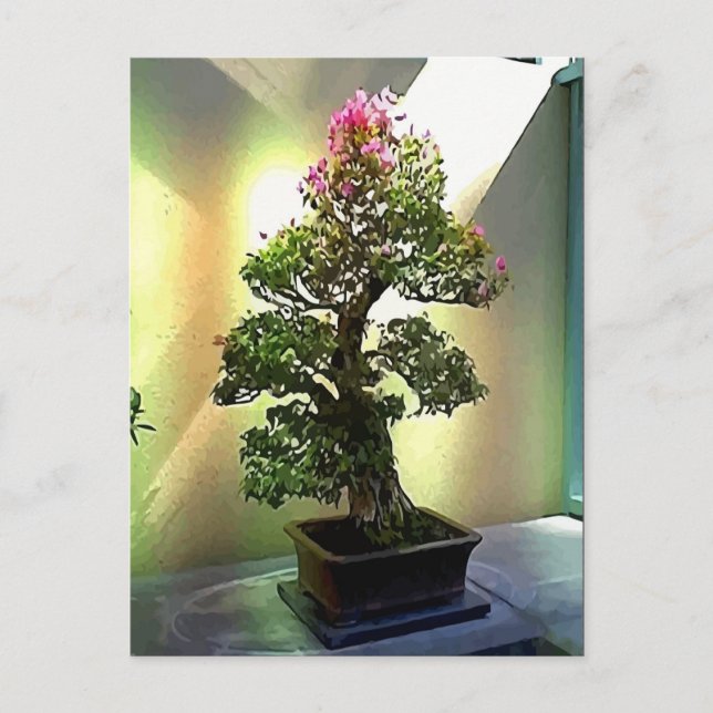 Postal Árbol de Bougainvillea Bonsai (Anverso)