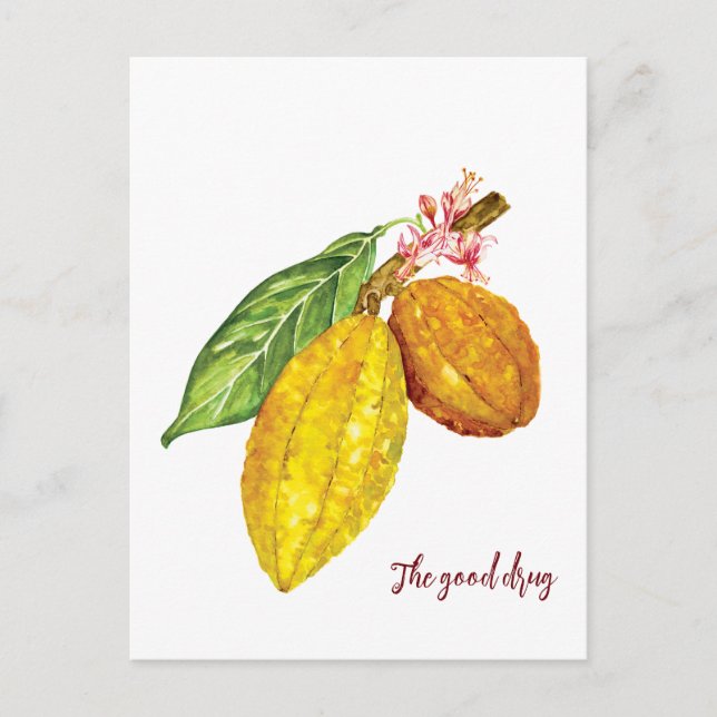 Postal Árbol de chocolate acuático (Anverso)