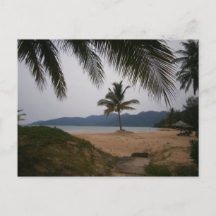 Postal Árbol de coco