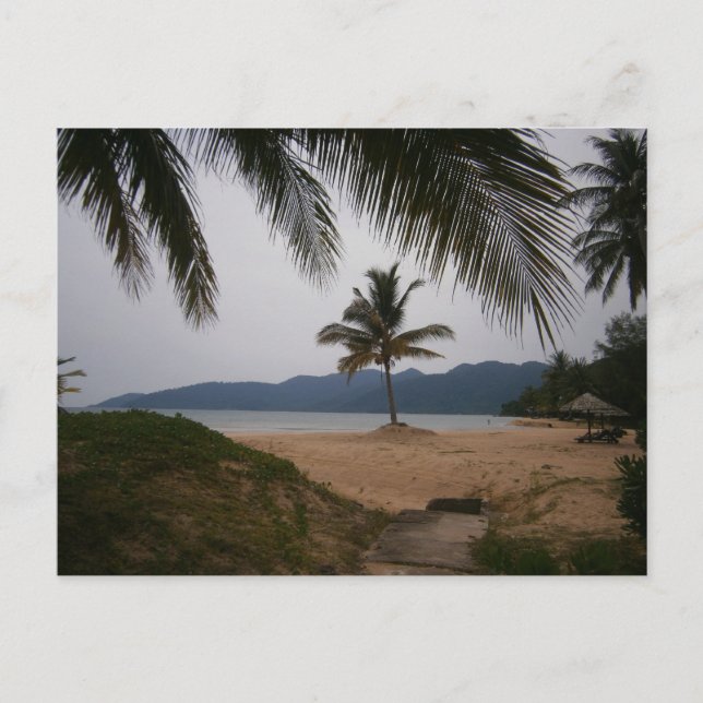 Postal Árbol de coco (Anverso)