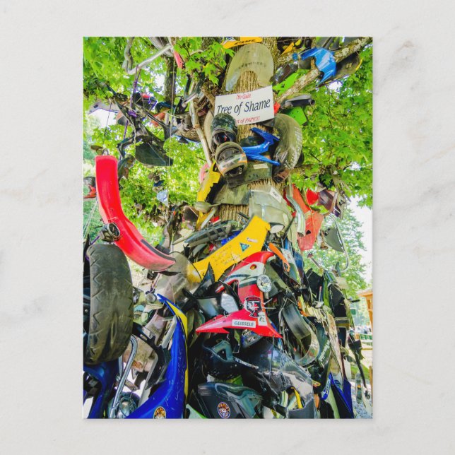 Postal árbol de cola de vergüenza del dragón (Anverso)