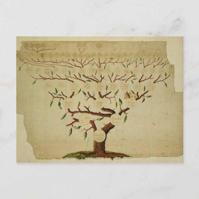 Postal Árbol de familia Bach, c.1750-1770 (Anverso)