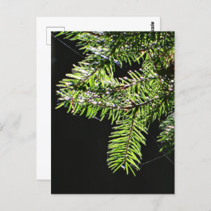 Postal Árbol de flores