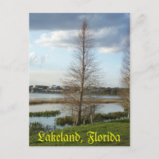 Postal Árbol de Florida Lakeland por el lago 008