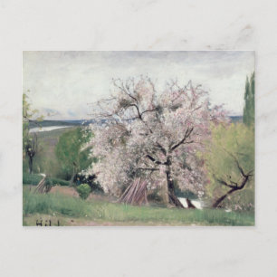 Postal Árbol de frutas en flor, Bois-le-Roi