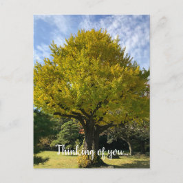 Postal Árbol de Ginkgo del Amarillo Dorado