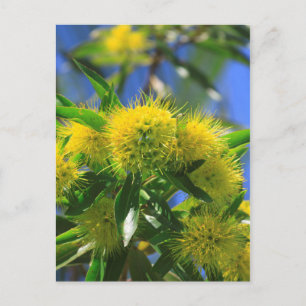Postal Árbol de guijarros amarillo
