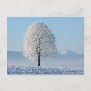 Postal Árbol de invierno