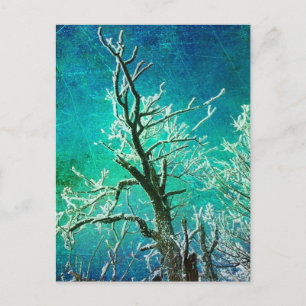 Postal Árbol de invierno congelado