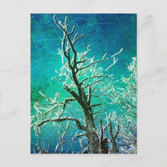 Postal Árbol de invierno congelado (Anverso)