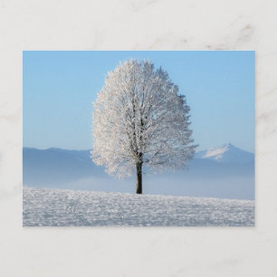 Postal Árbol de invierno de la oración de serenidad