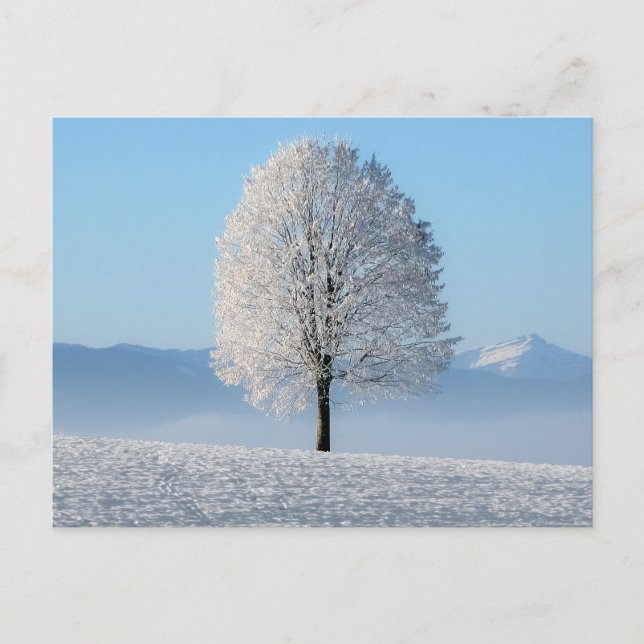 Postal Árbol de invierno de la oración de serenidad (Anverso)