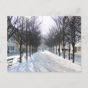 Postal Árbol de invierno en Praga (república checa)