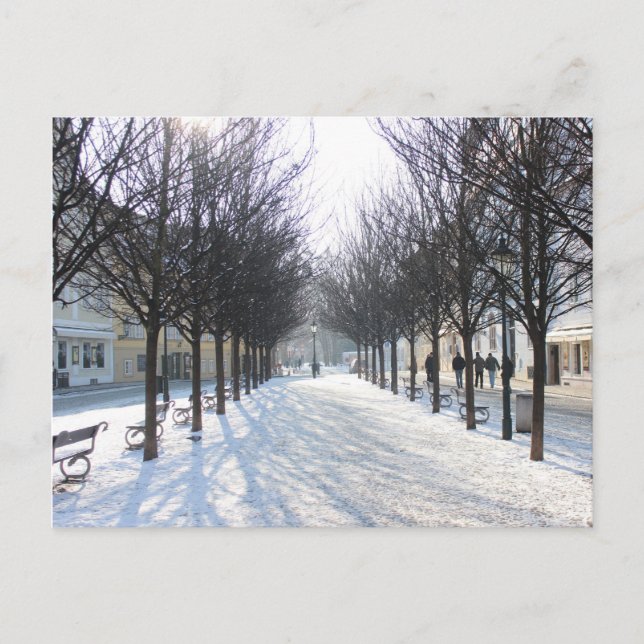 Postal Árbol de invierno en Praga (república checa) (Anverso)