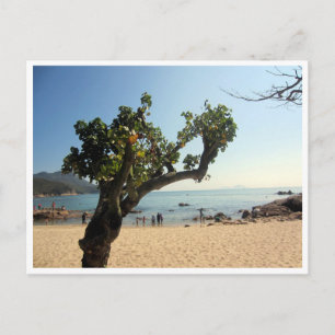 Postal árbol de la playa hung shing yeh
