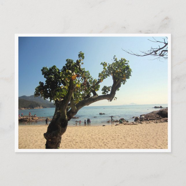 Postal árbol de la playa hung shing yeh (Anverso)