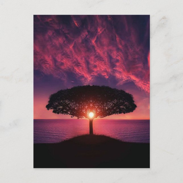 Postal Árbol de la puesta del sol (Anverso)