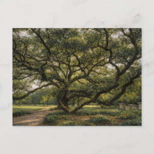 Postal Árbol de la Vida del Sur   Arte de Roble Vivo   Ta