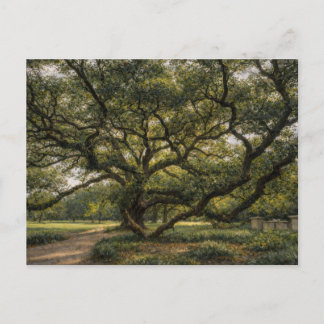 Postal Árbol de la Vida del Sur | Arte de Roble Vivo | Ta