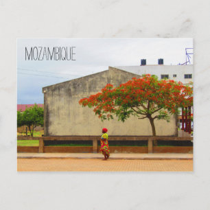 Postal árbol de llamas de mozambique