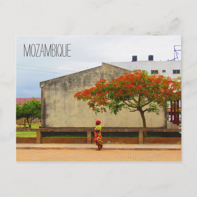 Postal árbol de llamas de mozambique (Anverso)