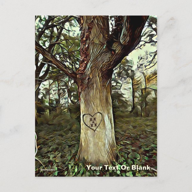 Postal Árbol de los amantes (Anverso)