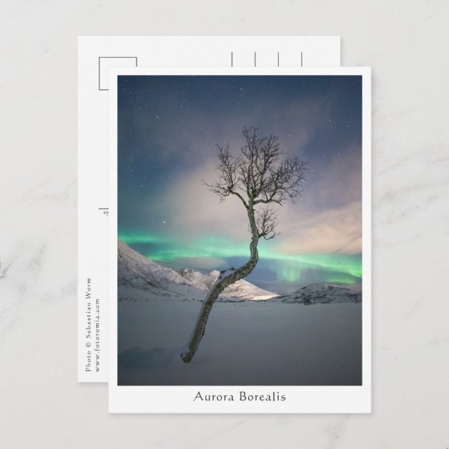 Postal Árbol de luces boreales (Anverso / Reverso)