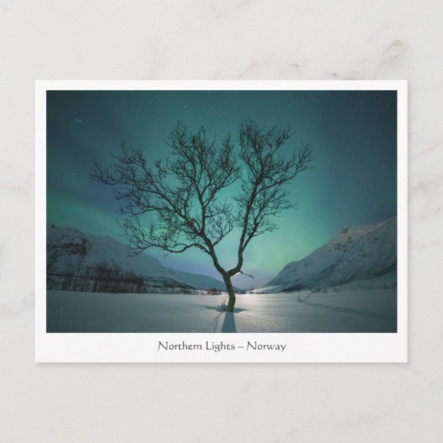 Postal Árbol de luces boreales (Anverso)