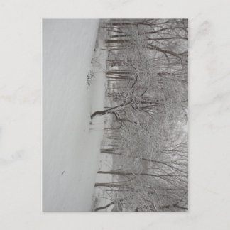 Postal Árbol de manzanas en invierno