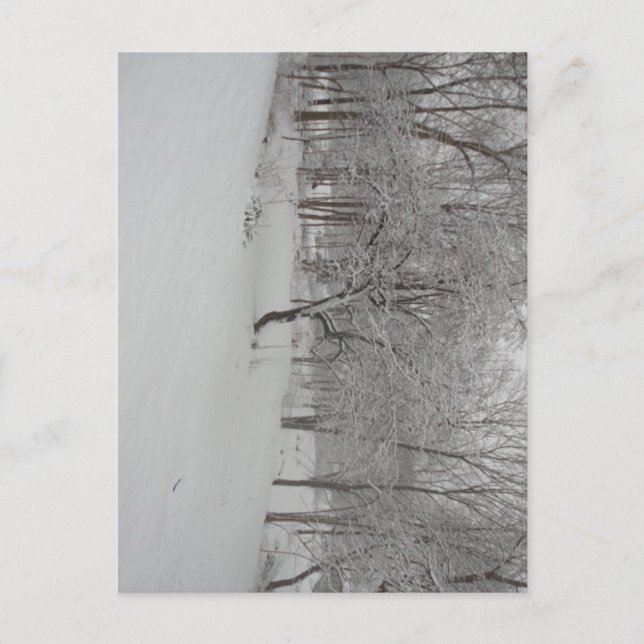 Postal Árbol de manzanas en invierno (Anverso)