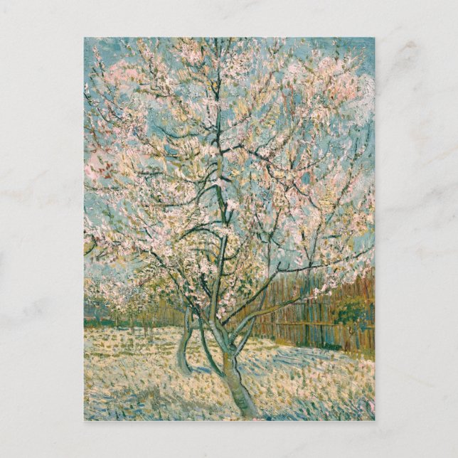Postal Árbol de melocotón rosado de Van Gogh en el flor (Anverso)
