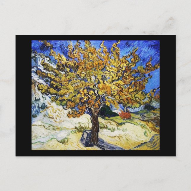 Postal Árbol de mora (Anverso)
