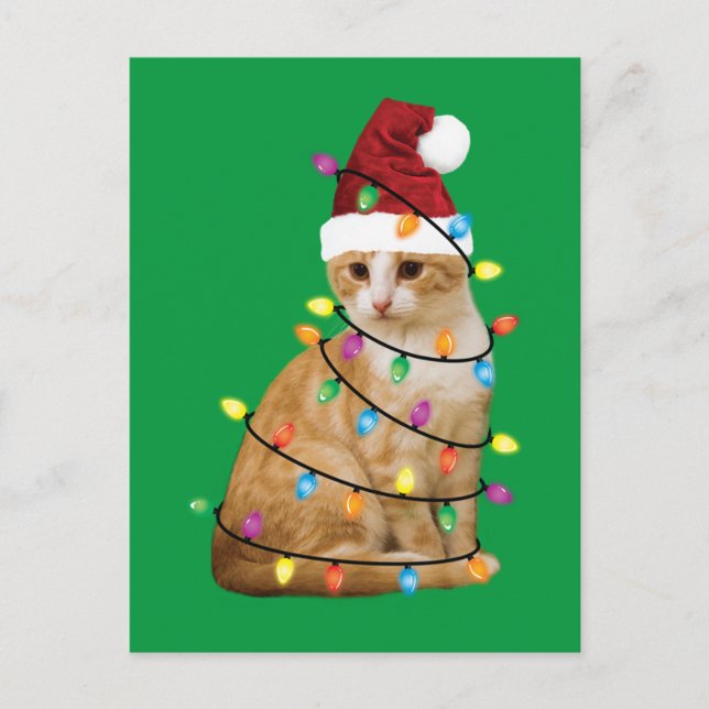 Postal Árbol de Navidad Gato Santa Graciosa Gente Gato Ga (Anverso)