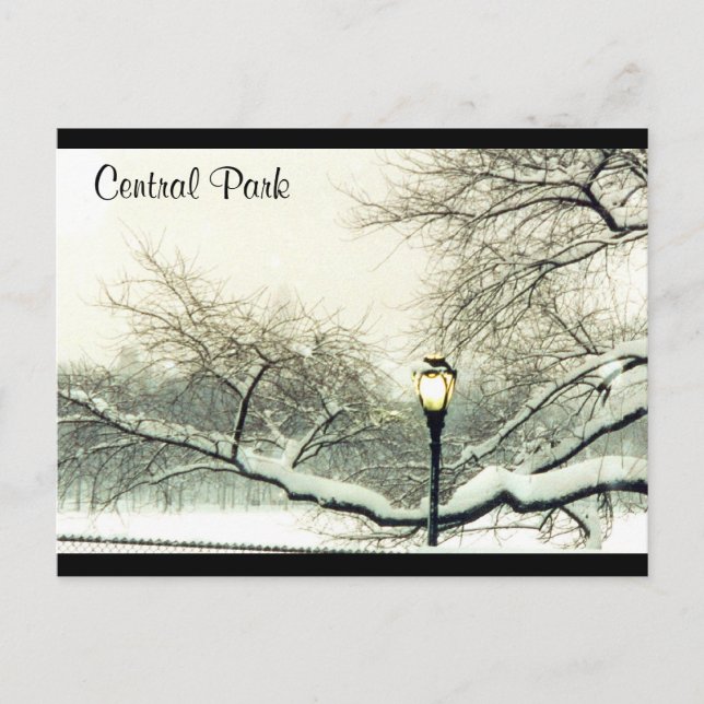 Postal árbol de nieve del parque central (Anverso)