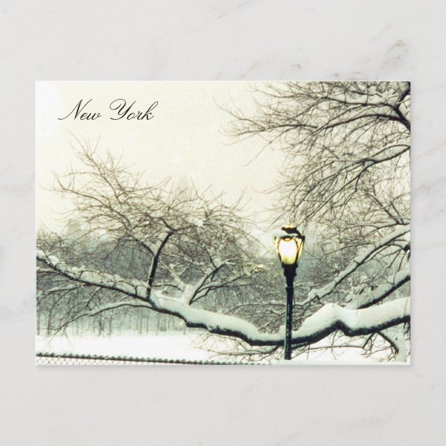 Postal árbol de nieve del parque central (Anverso)