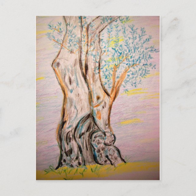 Postal Árbol de oliva antiguo (Anverso)